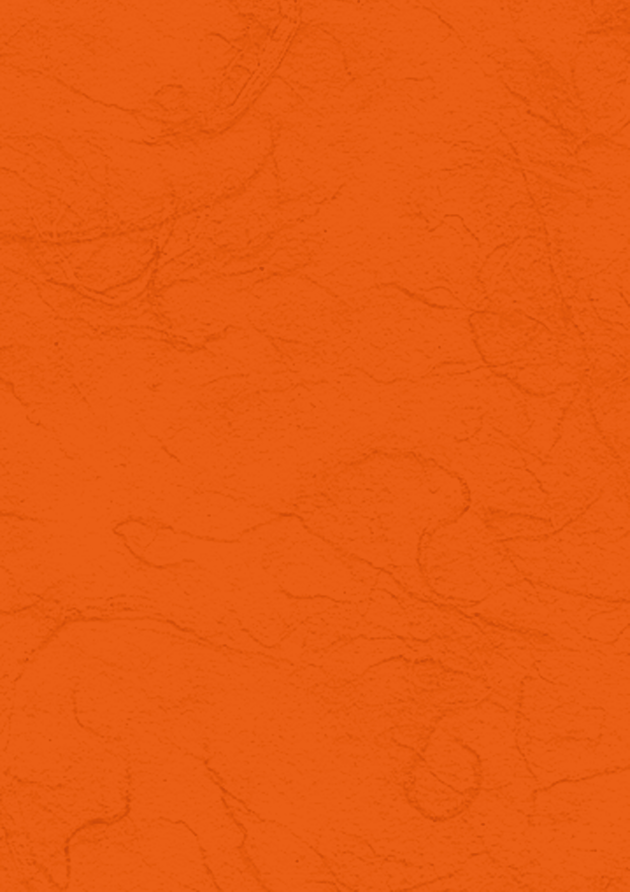 Heyda 204718547 | Strohseide | 50 x 70 cm | orange